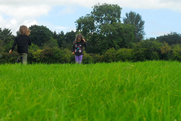 By Glastonbury Tor