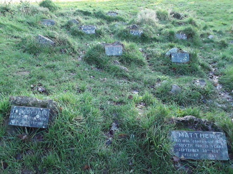 Pet cemetery