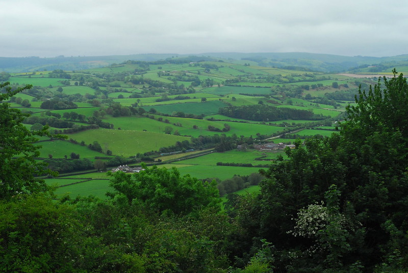 The Severn Valley just west of Abermiwl