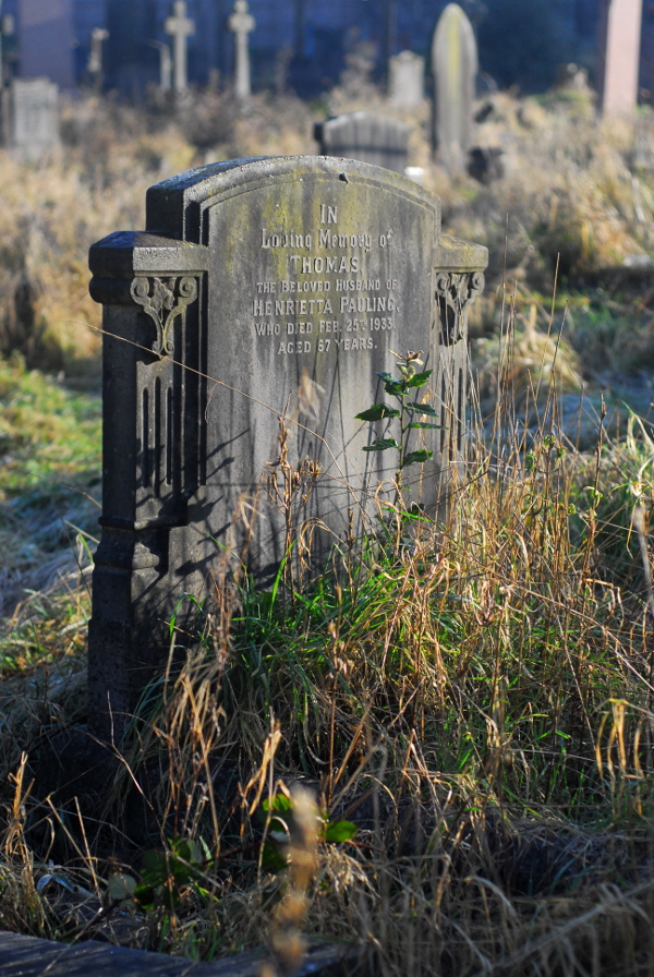 Ridgeway Park Cemetery