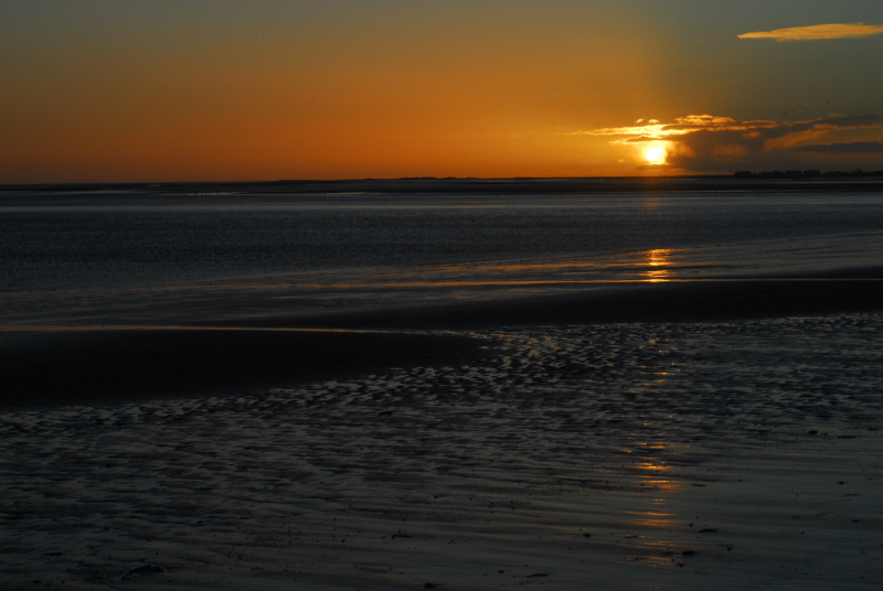 Dawn on the beach