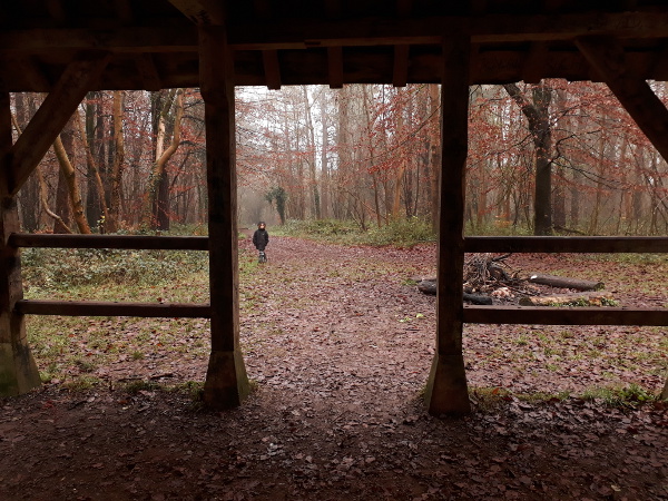 In the shelter