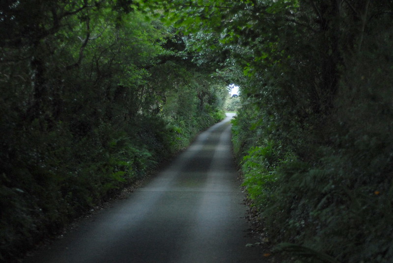 Cornish country lane at dusk