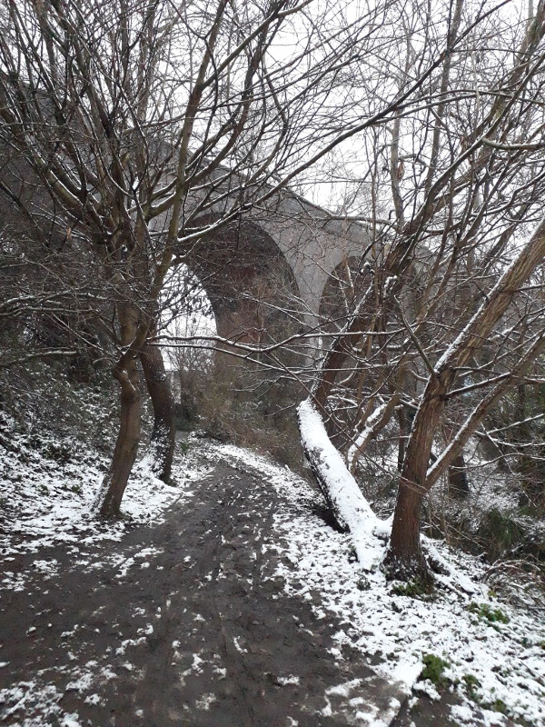 Nature reserve and railway viaduct