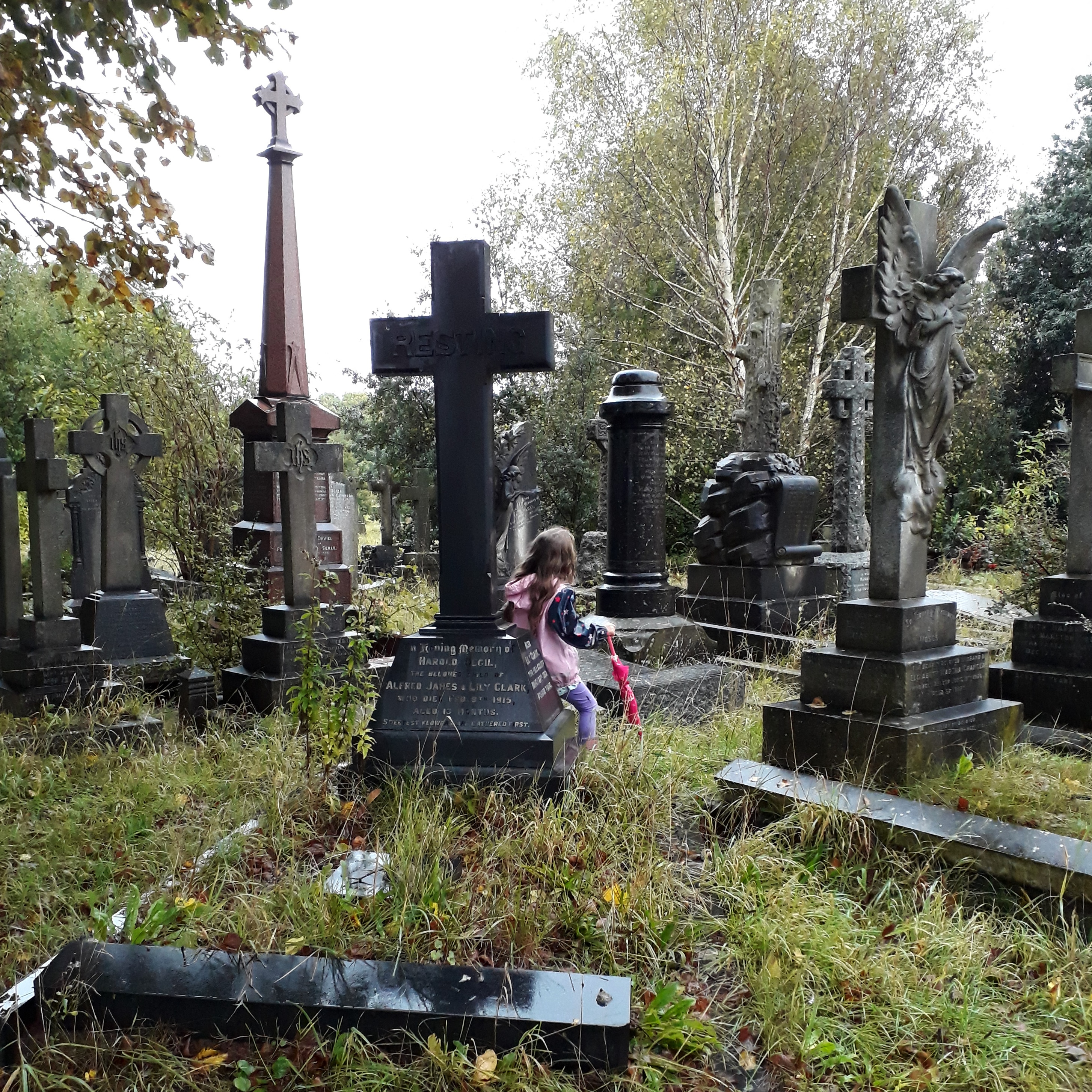 Exploring the graves