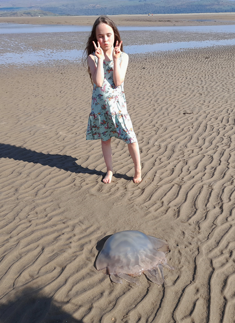 Jellyfish with child for scale