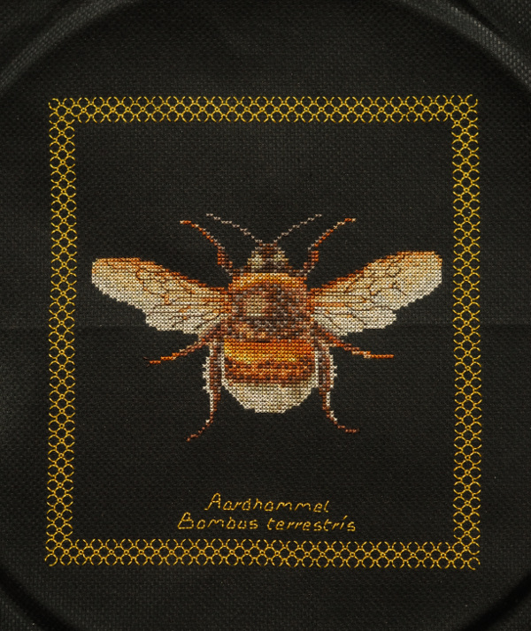 Bumblebee Bumblebee