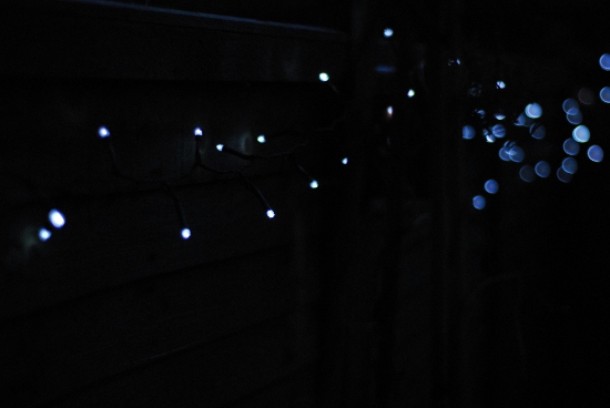 Garden fairy lights