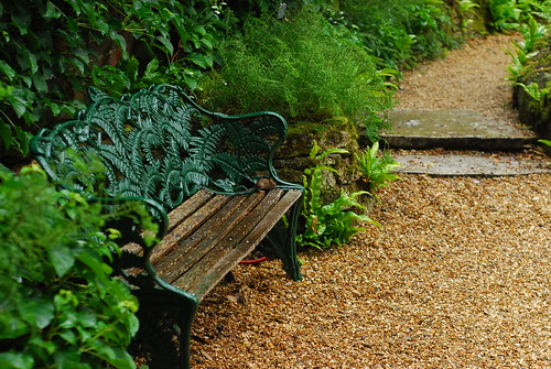 Mouse, Kingston Lacy fern garden