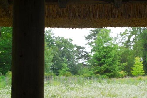 View from shelter, Japanese garden, Kingston Lacy
