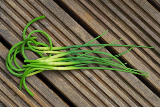 Garlic scapes