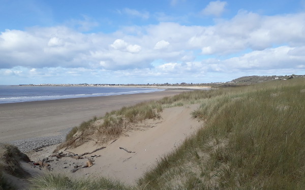 Merthyr Mawr Warren