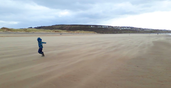 Windblown sand