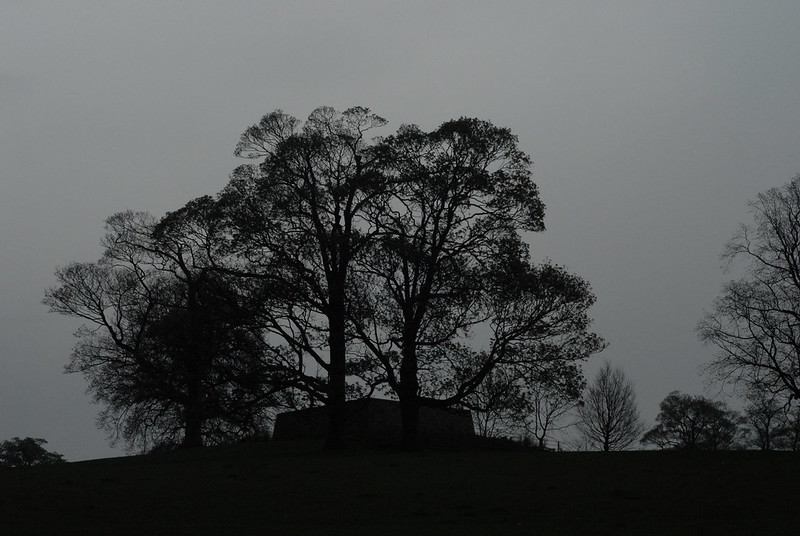 Deer shelter, Yorkshire Sculpture Park