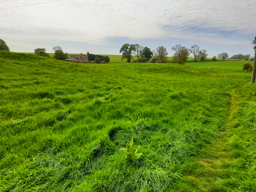 The remains of Beesby