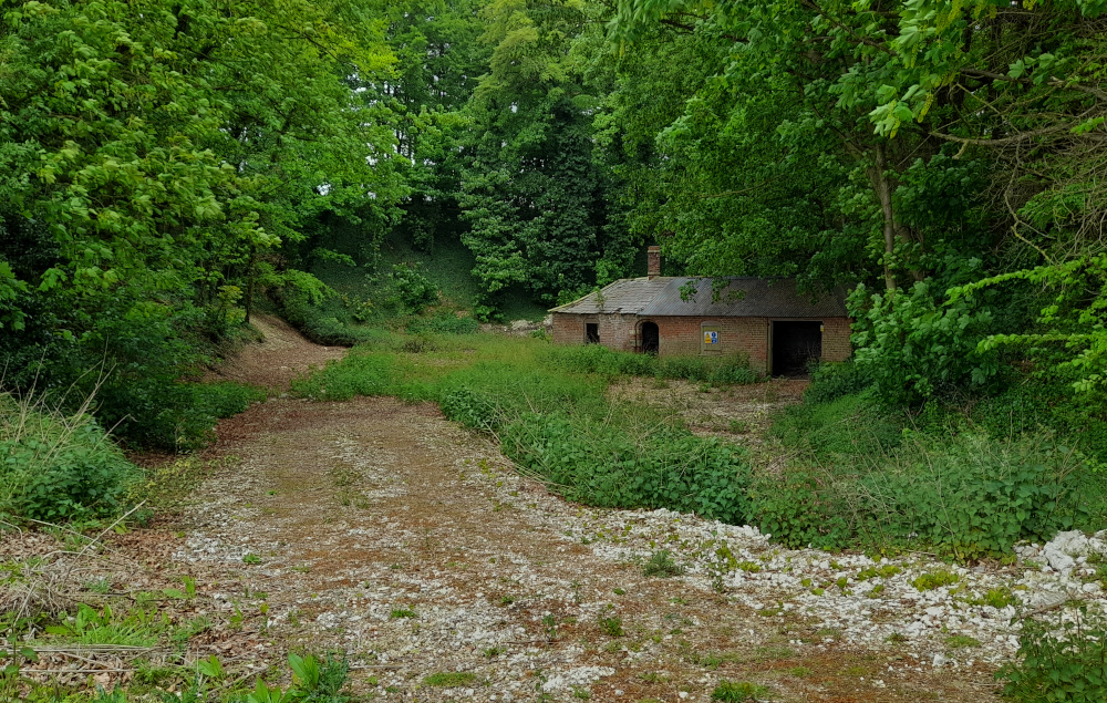 Abandoned chalk pit