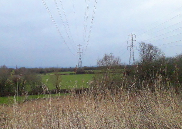 Newport Wetlands