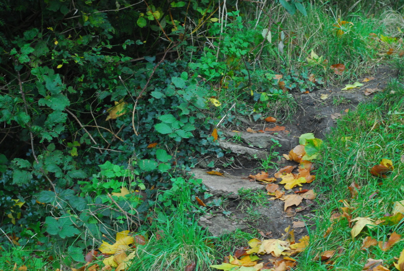 Possible former cemetery wall, with walling stones now used as makeshift steps