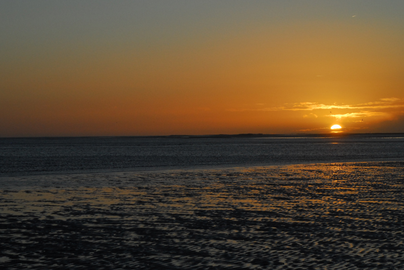 Dawn on the beach