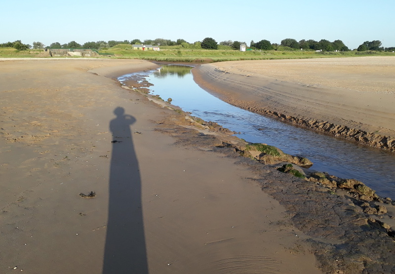 The beck at low tide