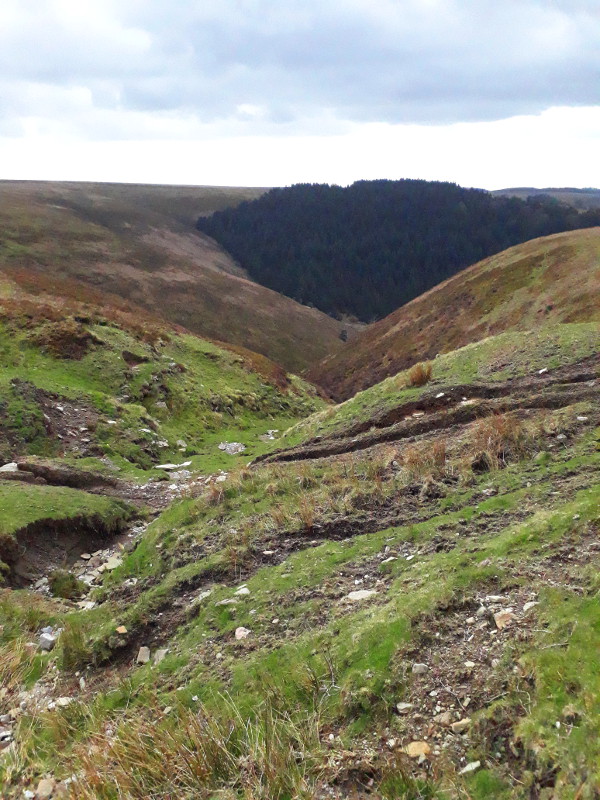 The ravines dropping away from Mynydd Twyn-Glas