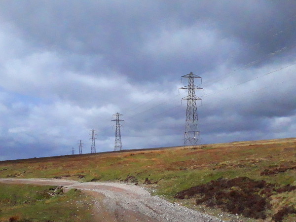 Pylons