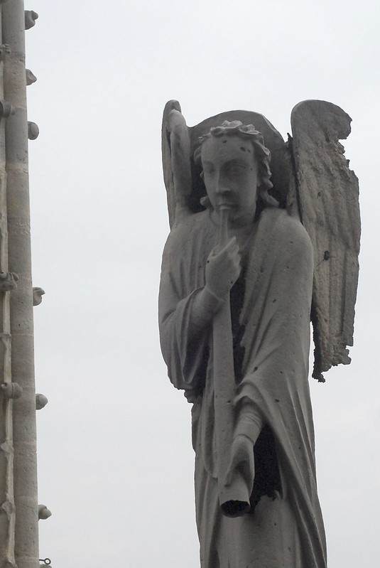 Angel, Notre Dame