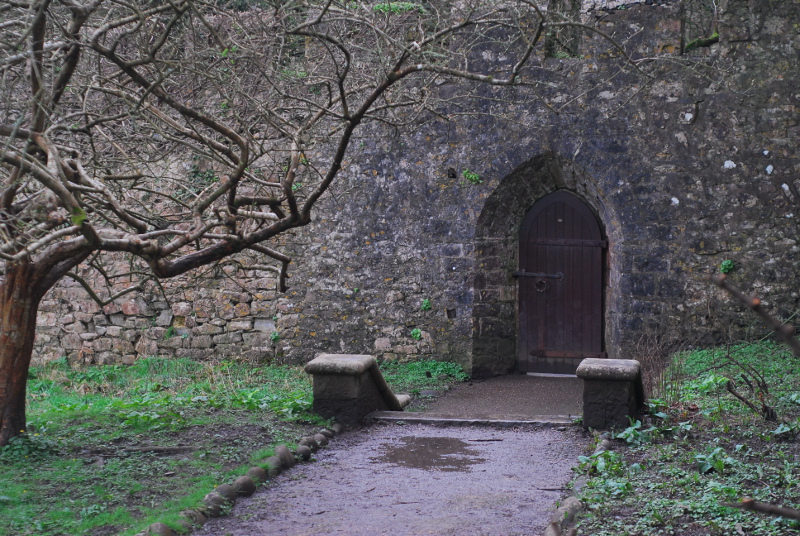 The walled garden