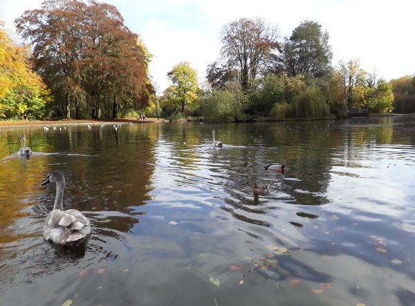 The lake quietens down