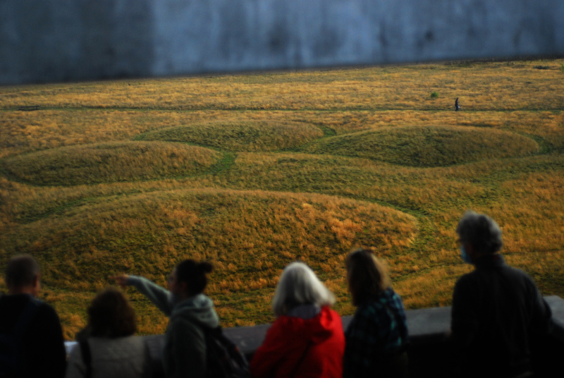 Watching from the viewing tower