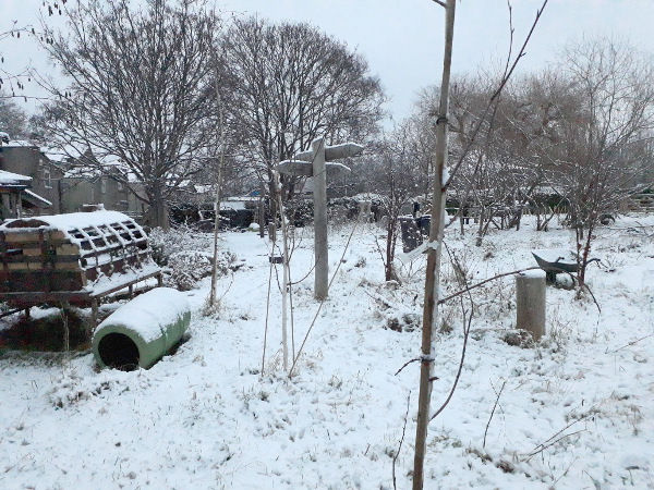 Snowy school field