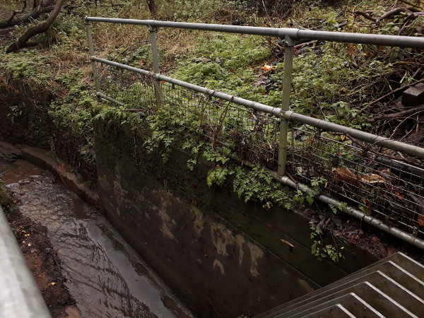 Coombe Brook