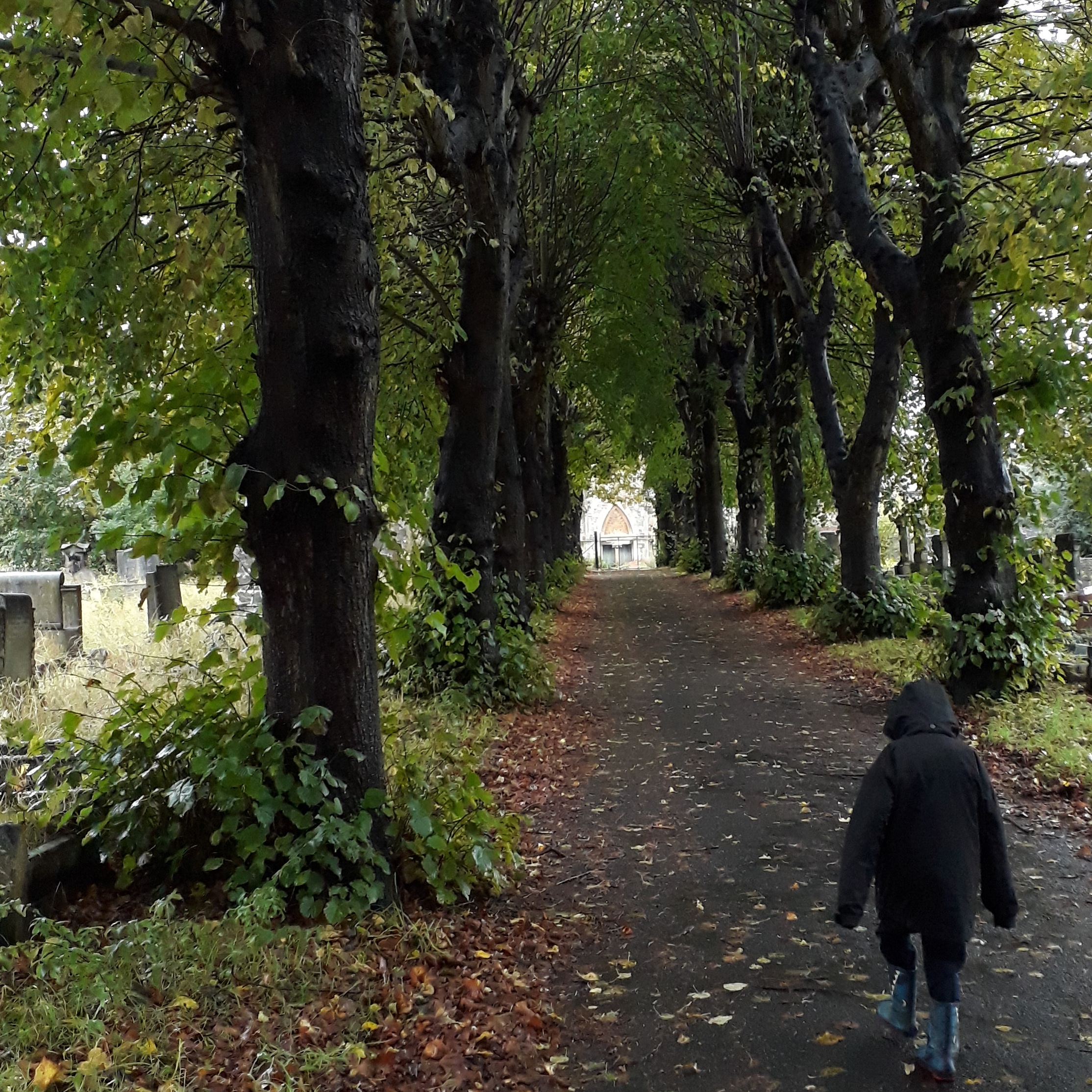 Wandering down the avenue