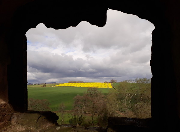 Looking towards the Sugar Loaf