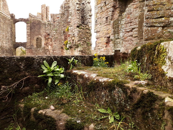 Raglan Castle