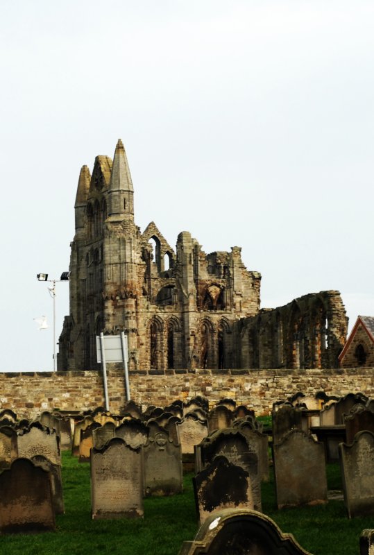 Whitby Abbey