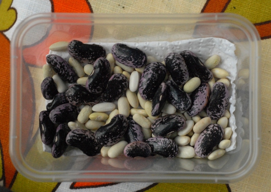 Dried beans