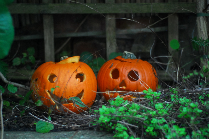 Pumpkin decay